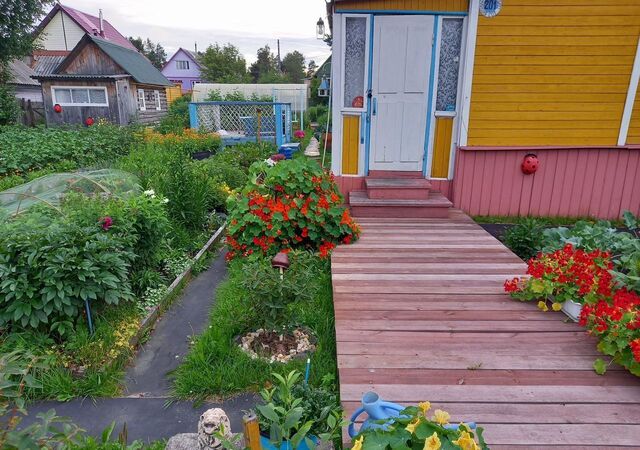 дом снт Тайга 201, Приморский муниципальный округ, Архангельск фото