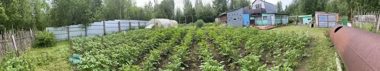 дом г Стрежевой снт тер.Таежник Александровский р-н фото 19