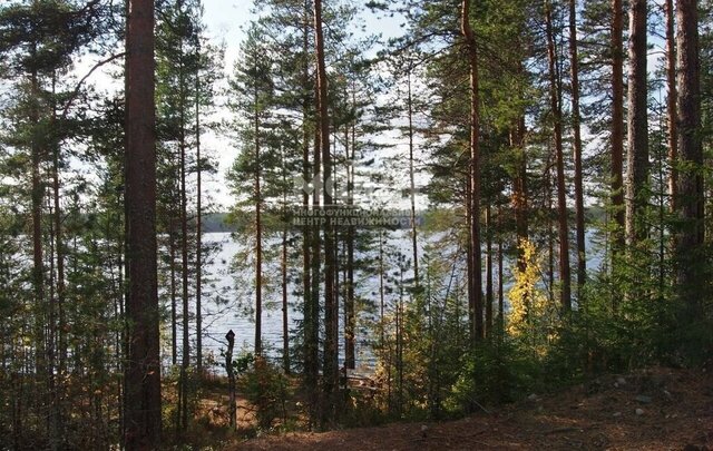 земля р-н Прионежский снт Гильд Нововилговское сельское поселение фото