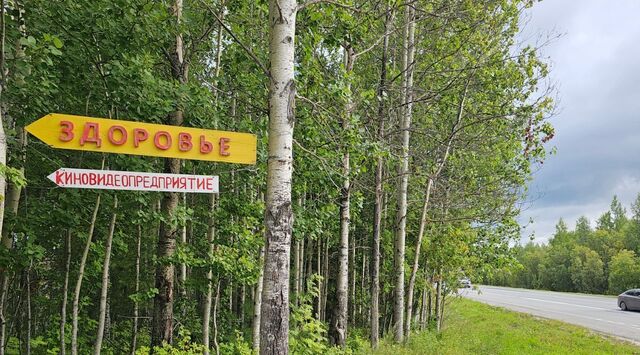 снт Здоровье СОТ, ул. Брусничная фото