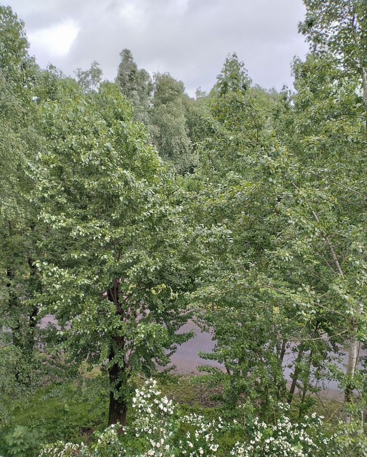 квартира г Великий Новгород Завокзальный ул Космонавтов 18/1 фото 8