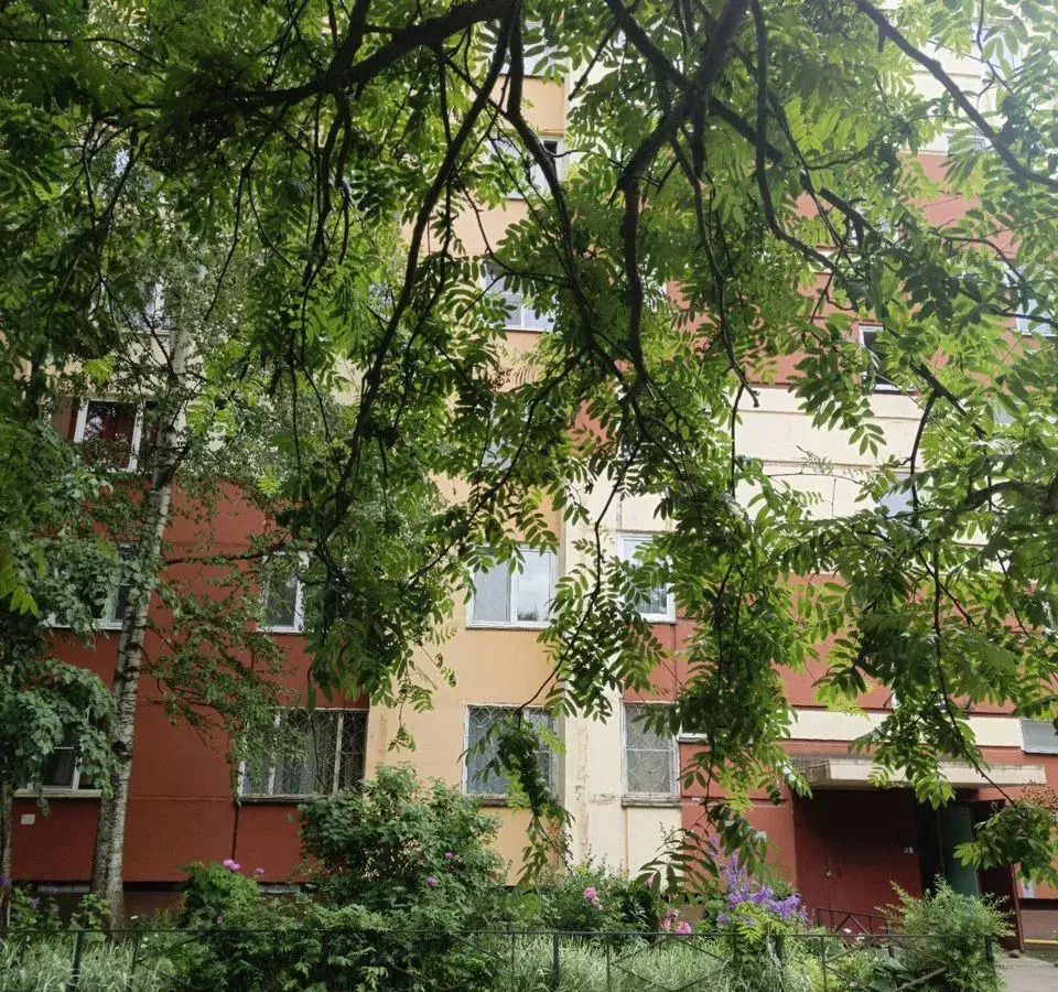 квартира г Сестрорецк ул Инструментальщиков 25 р-н Курортный фото 1