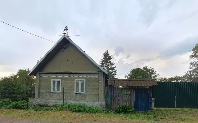 д Ворошилино Тямшанская волость, Палкино фото