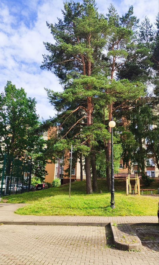 квартира р-н Светлогорский г Светлогорск ул Пригородная 1к/1 фото 13
