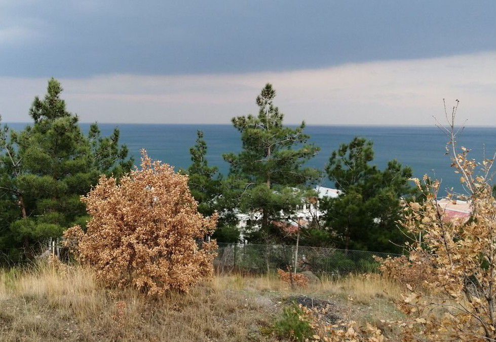 земля г Алушта п Семидворье р-н мкр Александрийская дача дача фото 3