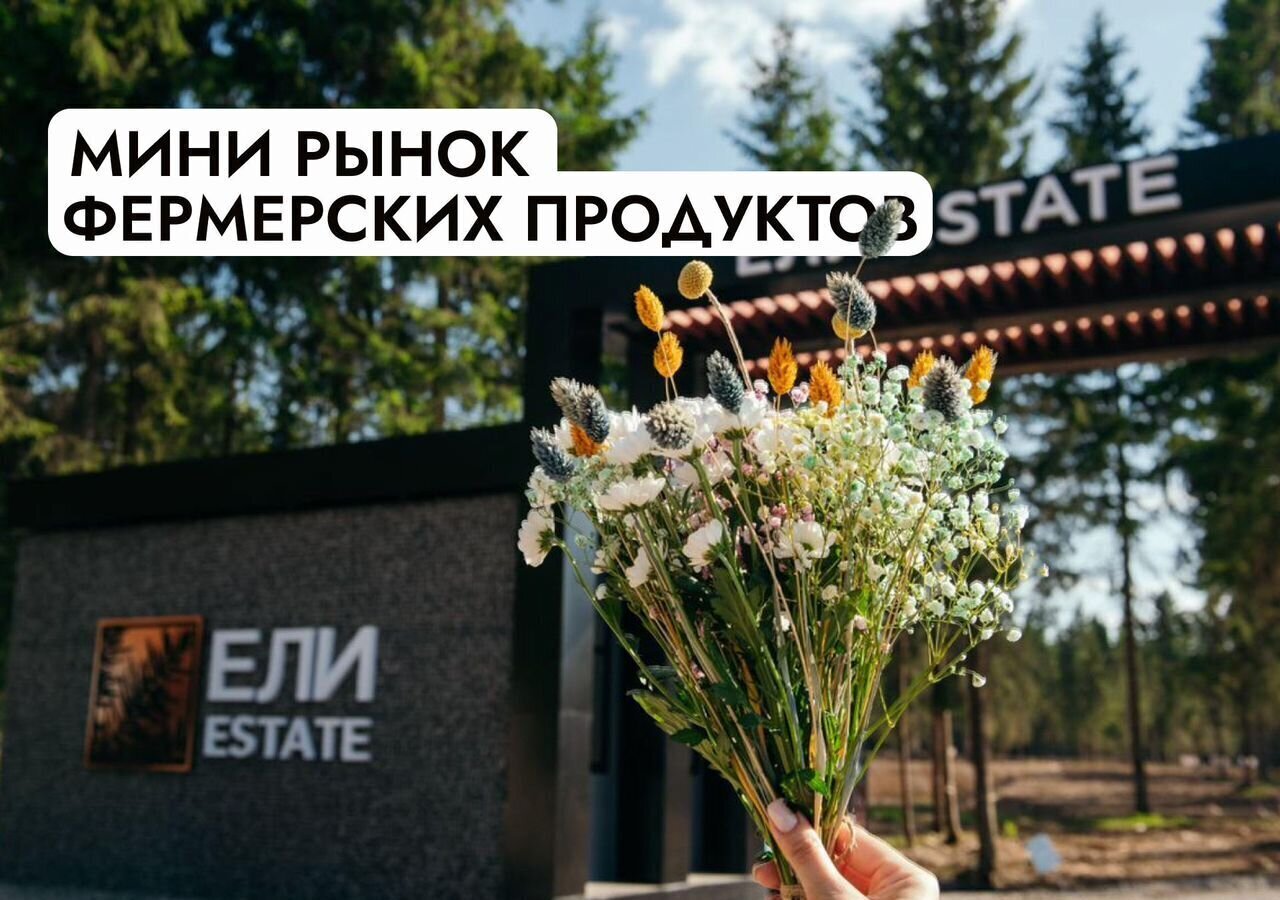 земля г Истра Павловская Слобода, 25 км, КП Гринфилд, Минское шоссе фото 40