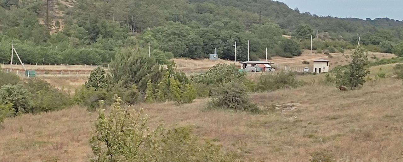 земля г Севастополь р-н Нахимовский Верхнесадовский муниципальный округ, Крым фото 1