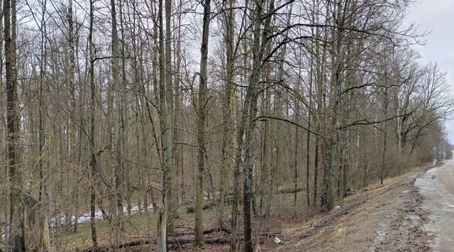 городской округ Чехов д Ваулово фото