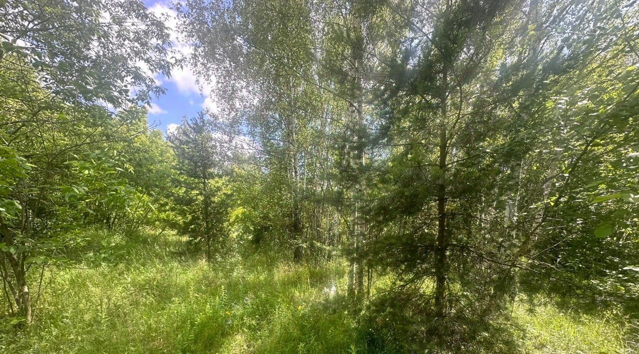 офис городской округ Богородский г Старая Купавна Железнодорожная фото 2