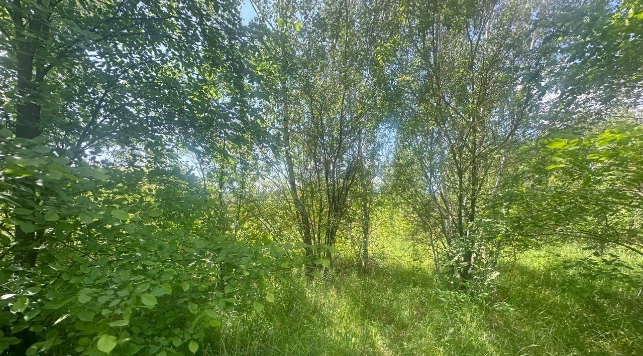 офис городской округ Богородский г Старая Купавна Железнодорожная фото 6
