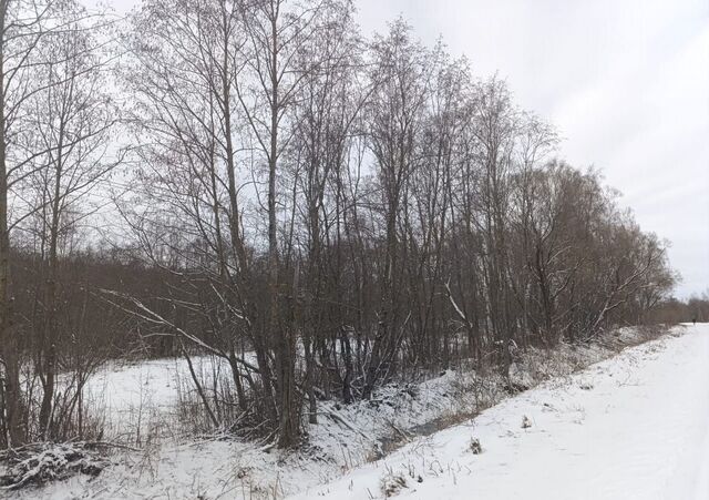 96 км, Можайск, Минское шоссе фото