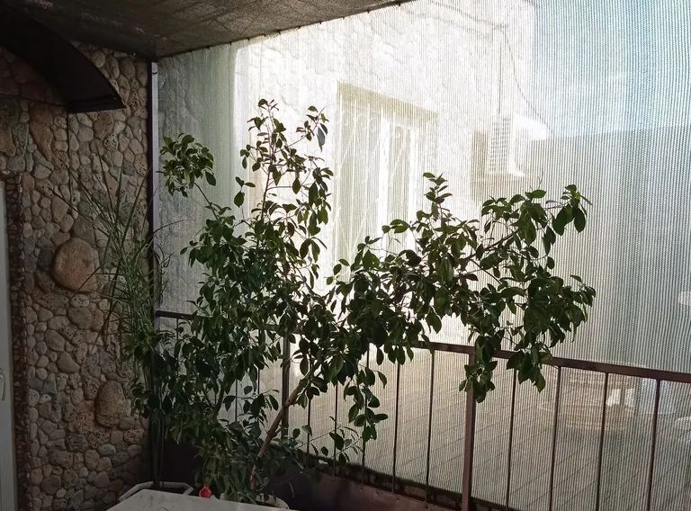 дом г Евпатория ул Халтурина 53 фото 11