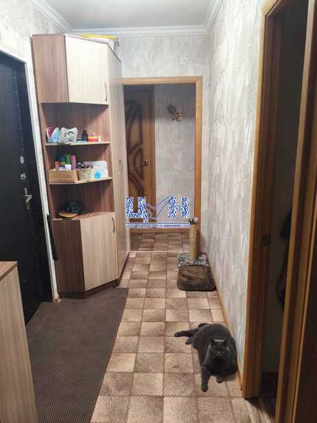 квартира г Курск р-н Центральный пр-кт Дружбы 7 фото 12