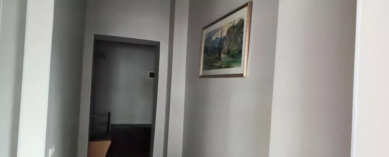 квартира г Новокузнецк р-н Центральный ул Энтузиастов 8 Кемеровская обл. - Кузбасс фото 9