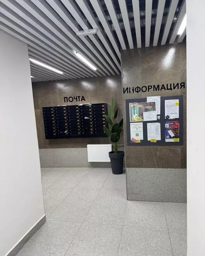 квартира г Оренбург р-н Центральный ул Яицкая 11 фото 3