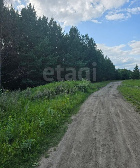 земля г Карабаш п Сактаево Карабашский городской округ фото 7