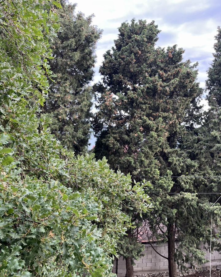 дом г Ялта пгт Симеиз ул Максима Горького 10а г Алупка фото 28