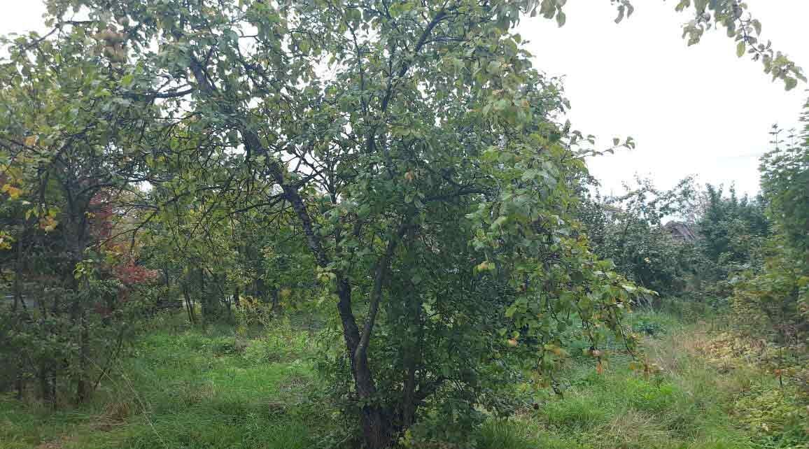 земля г Домодедово д Ивановка ул Искристая фото 1
