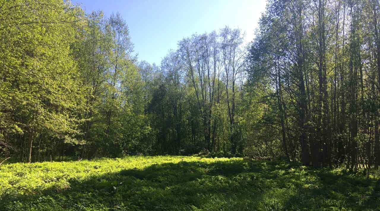 земля г Домодедово д Сырьево фото 1