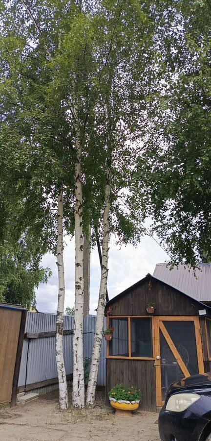 дом г Нижневартовск садово огородное товарищество Огородник -3, Тюменская обл. фото 5