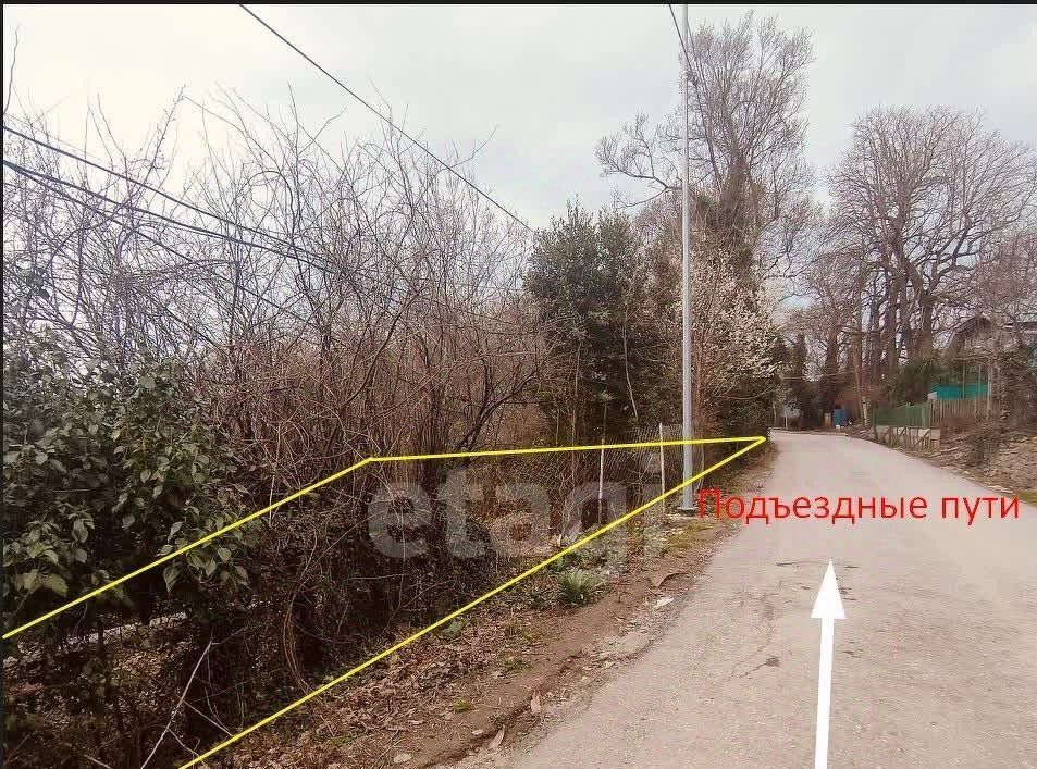 земля г Ялта п Горное ул Лесная фото 6
