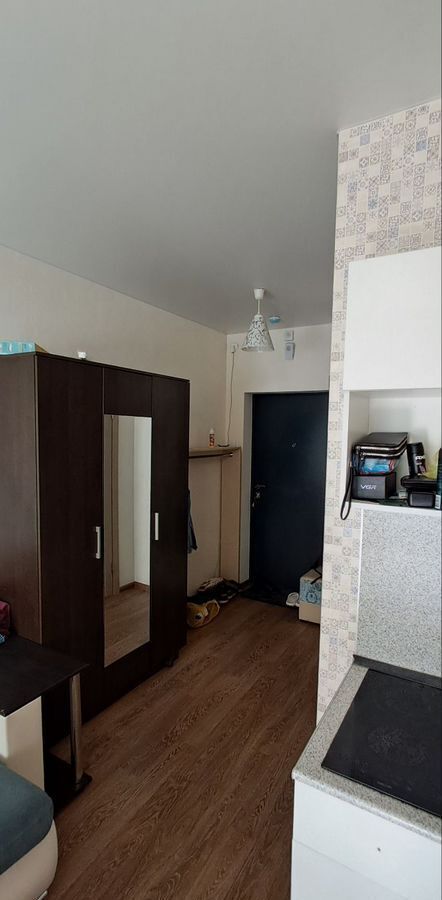 квартира г Воронеж р-н Центральный ул Загоровского 1 фото 2