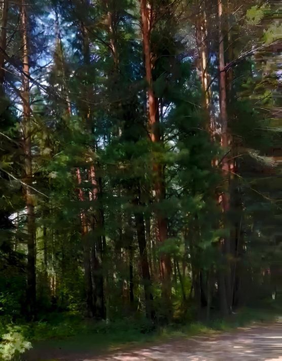 дом г Томск п Заварзино ул Мостовая 21д р-н Советский фото 4