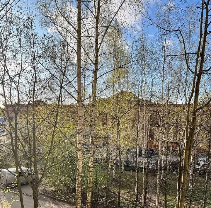 квартира р-н Всеволожский г Всеволожск ул Героев 15 Ладожская фото 27
