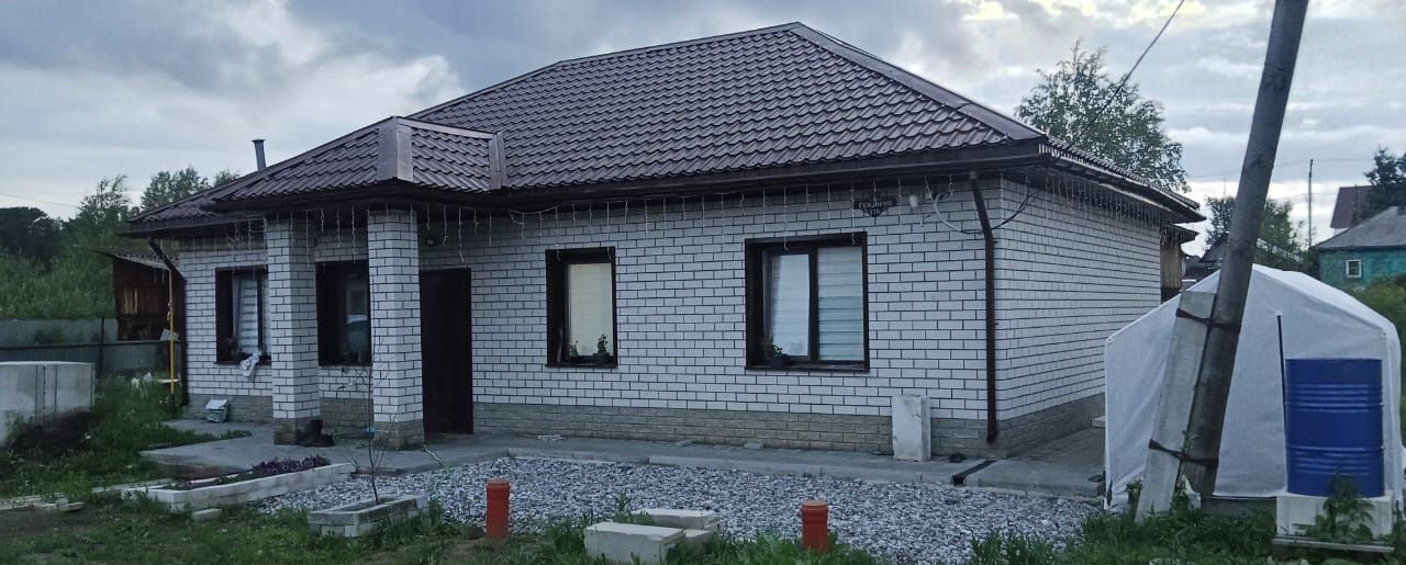 земля г Барнаул п Борзовая Заимка ул Геологов 17 р-н Центральный фото 1