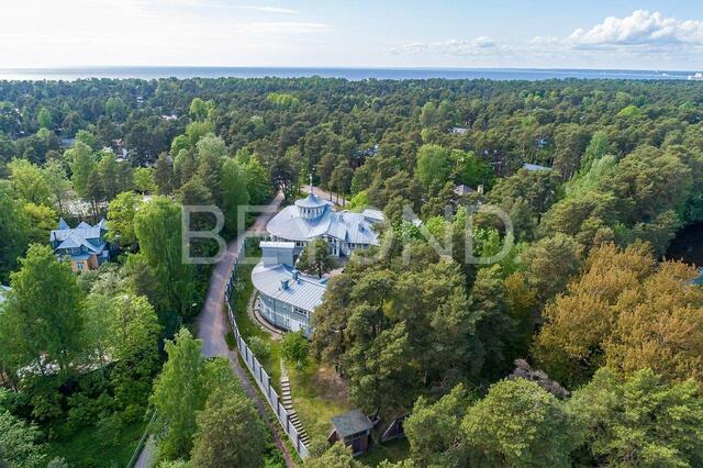 Курорт пр-кт Ермоловский 36а р-н Курортный Ленинградская область фото