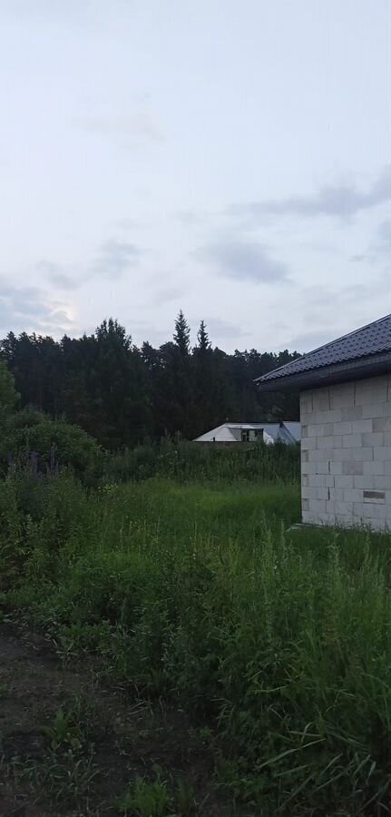 земля г Барнаул п Борзовая Заимка ул Геологов 17 р-н Центральный фото 3