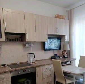 квартира р-н Всеволожский г Кудрово ул Столичная 4к/4 Улица Дыбенко, Заневское городское поселение фото 3