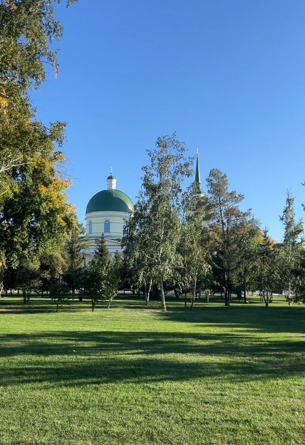 квартира г Омск р-н Центральный пр-кт Карла Маркса 6 фото 2