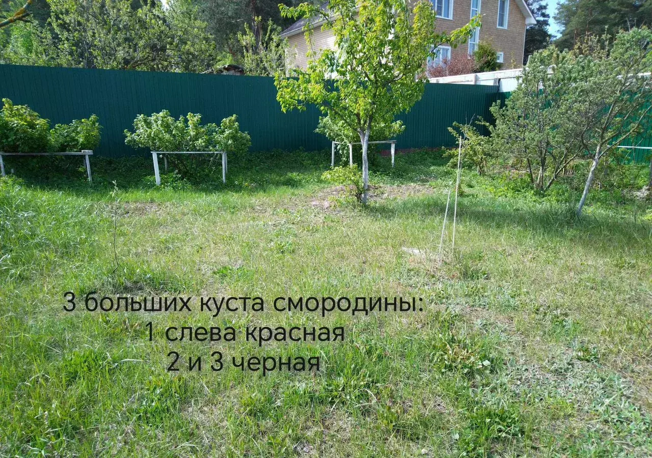 дом г Выкса с Мотмос ул 1 Мая 9 фото 29