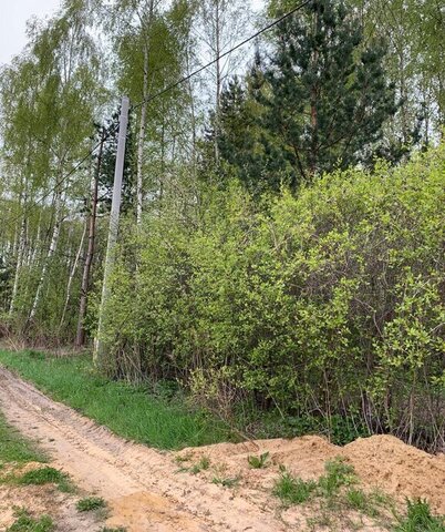 Отдых, КП -парк, Коняшино фото