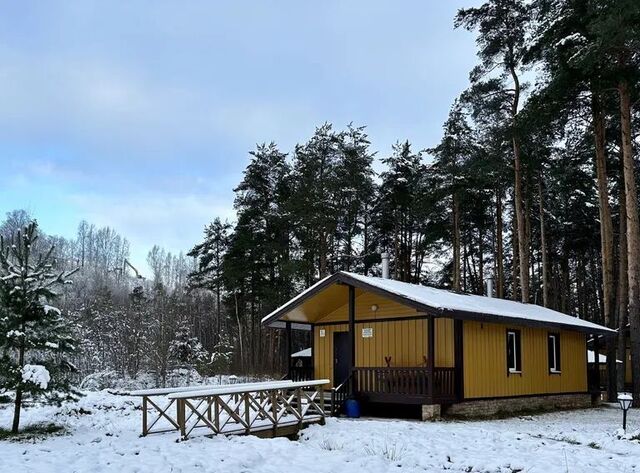 Токсовское городское поселение, Токсово городской поселок, Девяткино, ул. Офицерская, 17Б фото