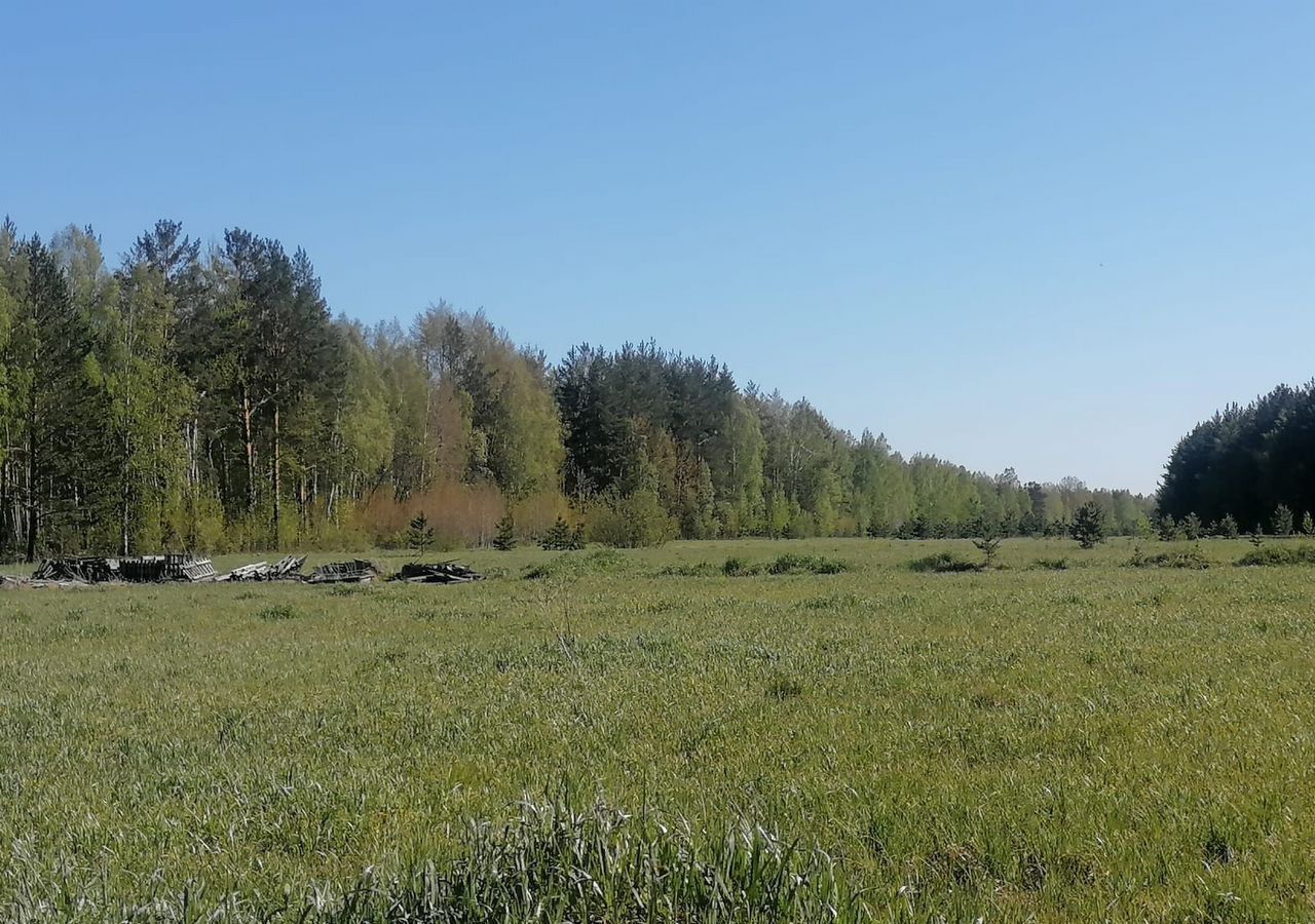 земля г Полевской с Курганово Екатеринбург фото 3