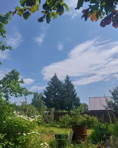 снт Алтай 71 км, Краснозаводск, Ярославское шоссе фото