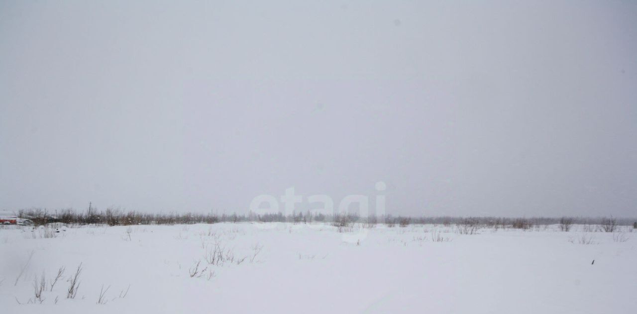 земля г Новый Уренгой фото 1