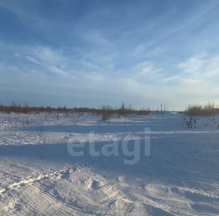 земля г Новый Уренгой ул Глинки 5 фото 1