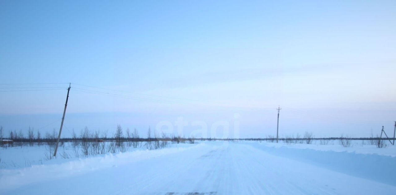 земля г Новый Уренгой фото 4