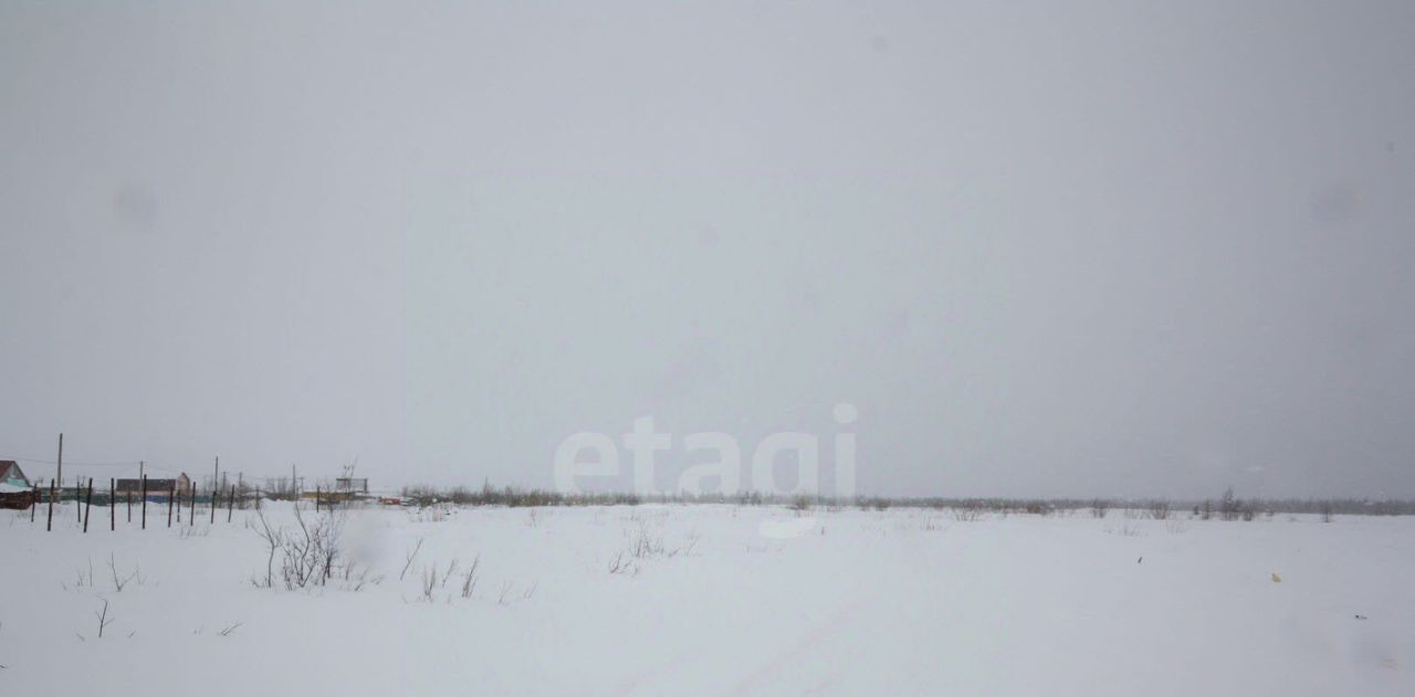 земля г Новый Уренгой фото 3