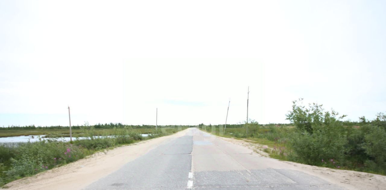 земля г Новый Уренгой фото 4
