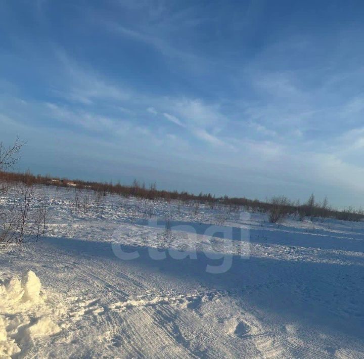 земля г Новый Уренгой ул Глинки 5 фото 3
