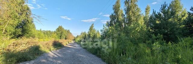земля Радужный кп фото