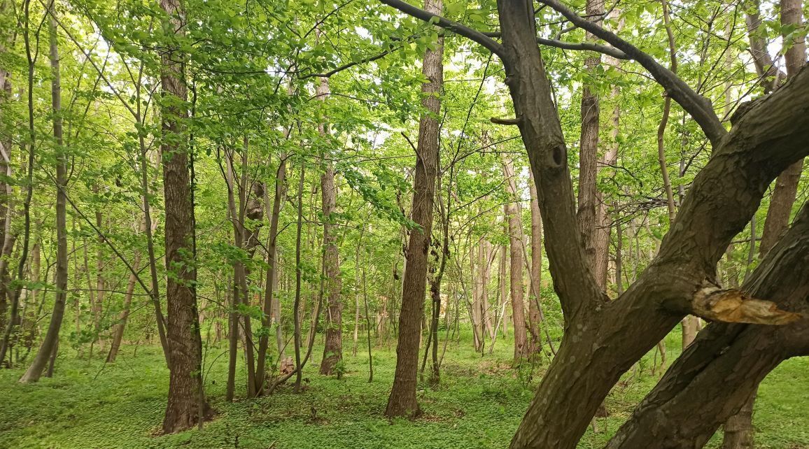 земля р-н Балтийский г Балтийск ул Верхняя Морская 9 фото 2