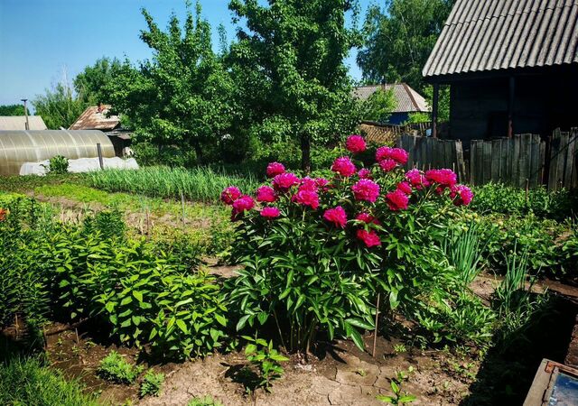 дом ул Н.Осипова Кемеровская обл. — Кузбасс фото