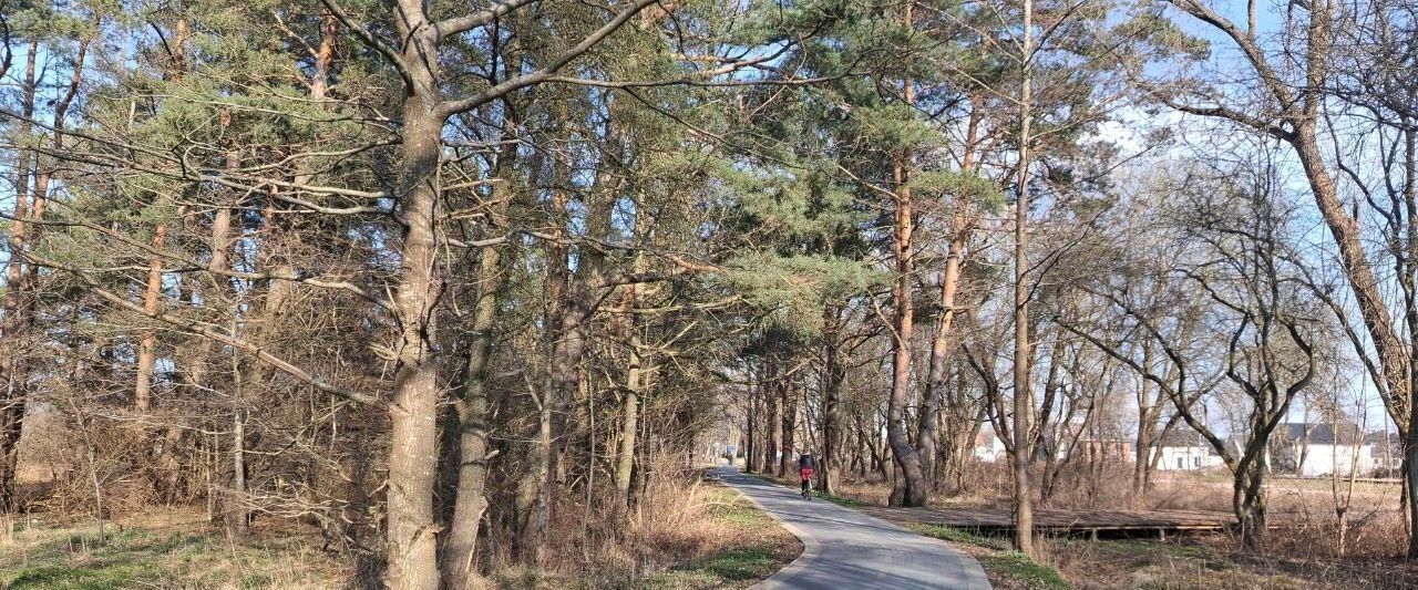 квартира р-н Зеленоградский г Зеленоградск ЖК «Яркий» фото 15