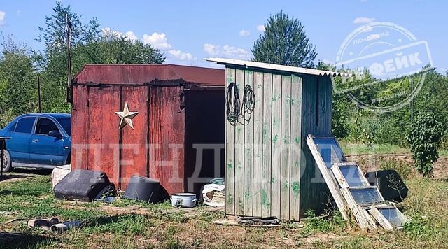 сад Надежда-3 фото