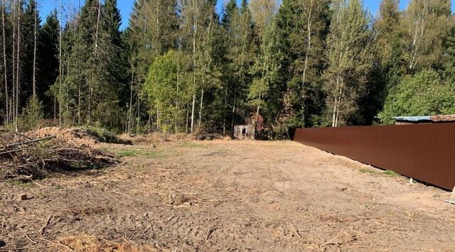 снт Автомобилист-2 Истра муниципальный округ фото